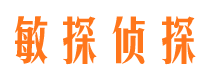 民和侦探公司